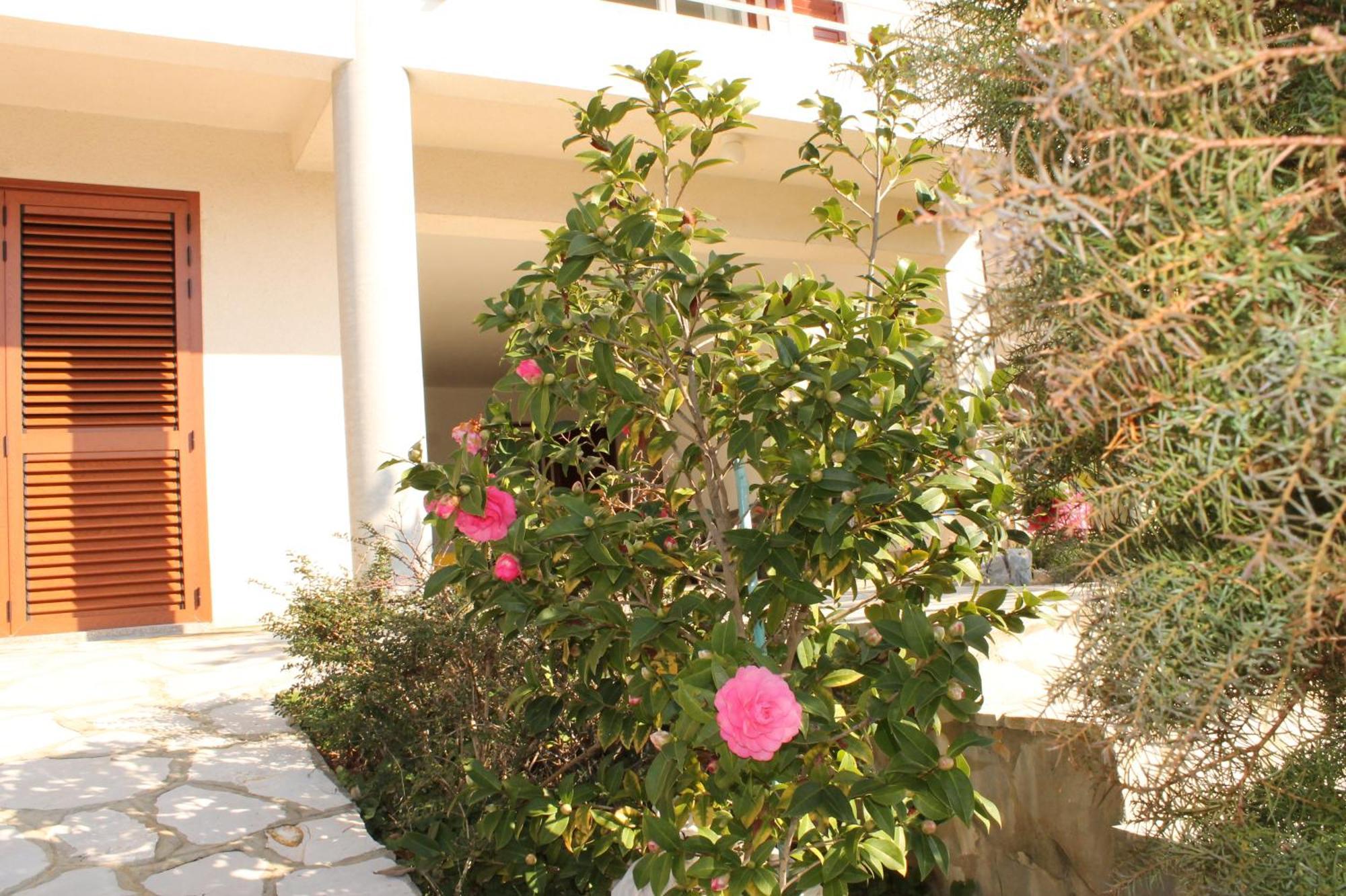 Apartments Vila Marica Rabac Bagian luar foto